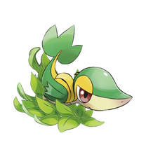 Snivy
